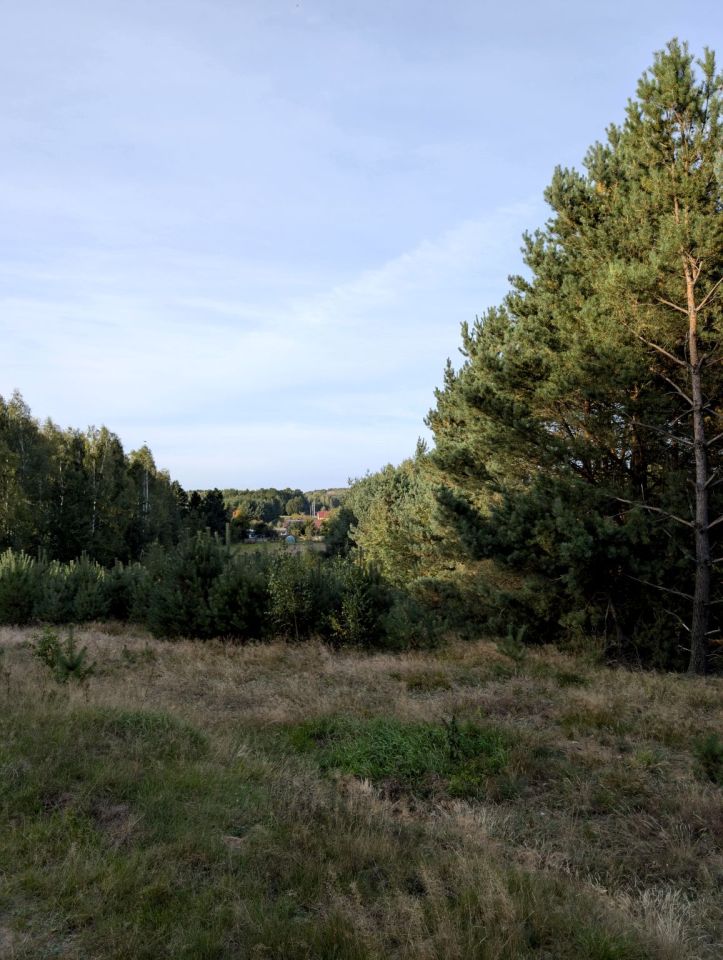 dom wolnostojący, 5 pokoi Srocko, ul. Częstochowska. Zdjęcie 7