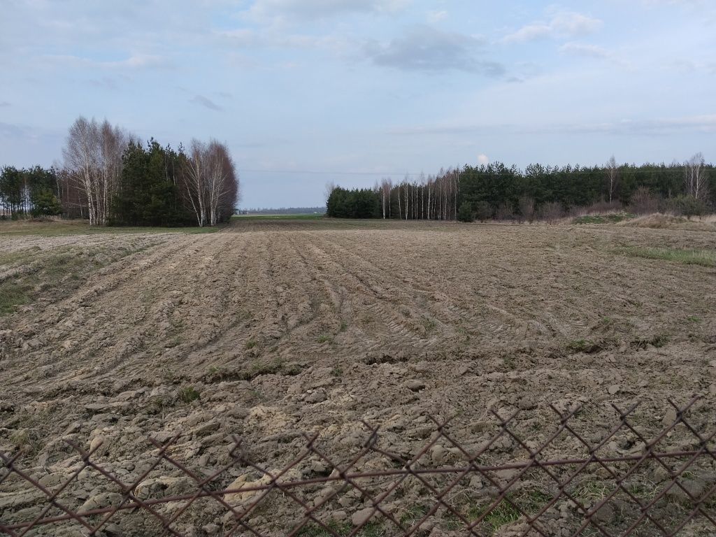 Działka budowlana Nowy Dwór. Zdjęcie 3
