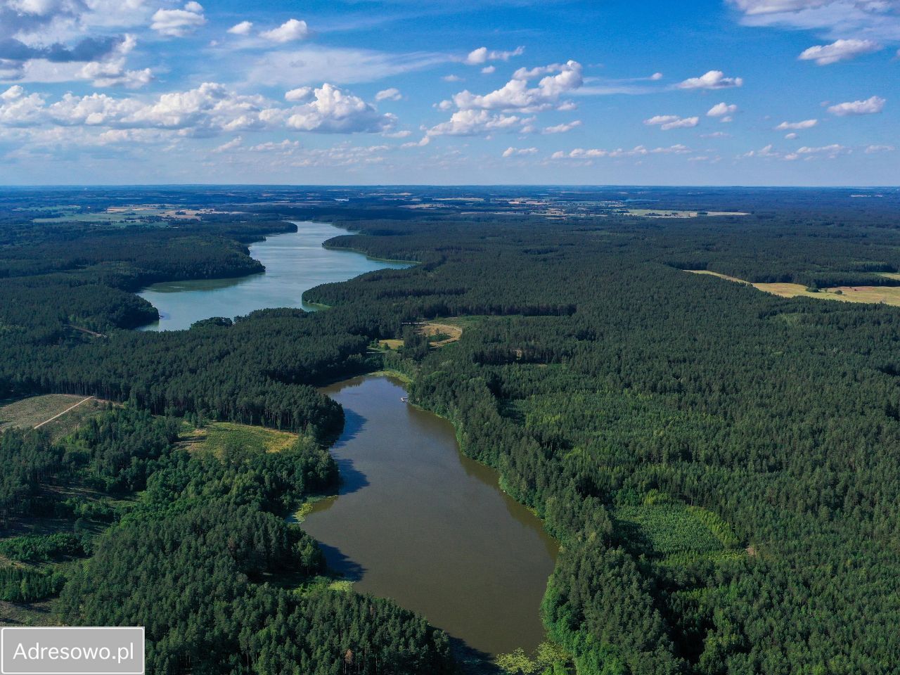 Działka rolna Jeleniowo. Zdjęcie 4