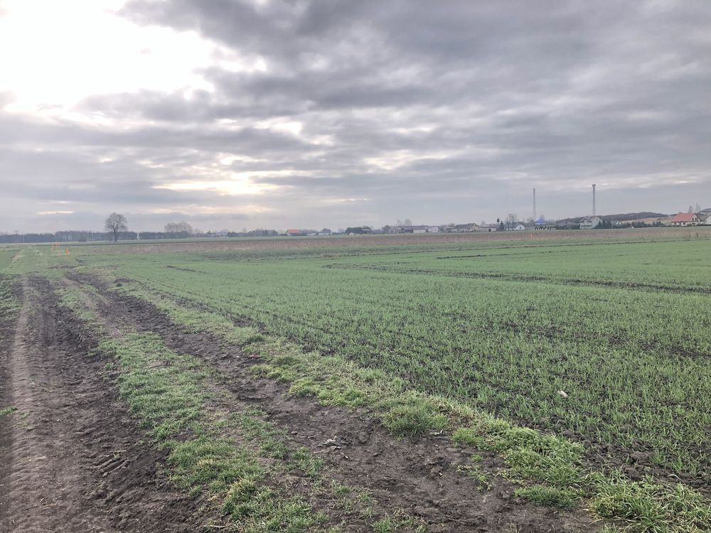 Działka budowlana Kowal, ul. Polna. Zdjęcie 4