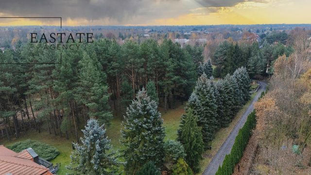 Działka budowlana Wiktorów, ul. Leśna. Zdjęcie 8