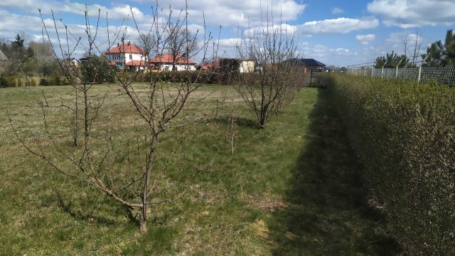 Działka budowlana Czołowo, ul. Chrobrego. Zdjęcie 1