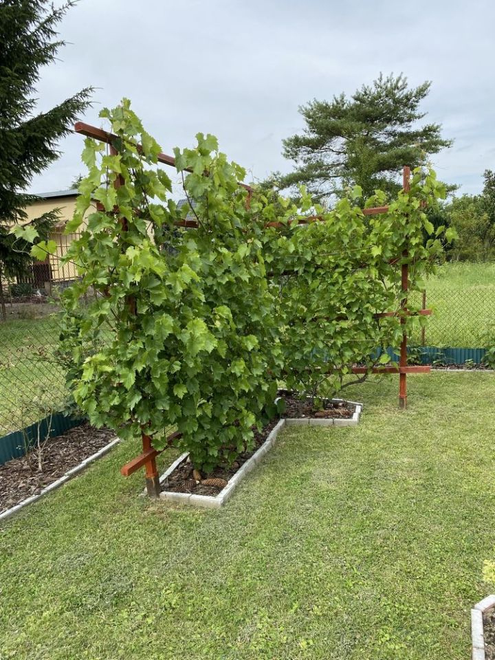 Działka rod Płock. Zdjęcie 3