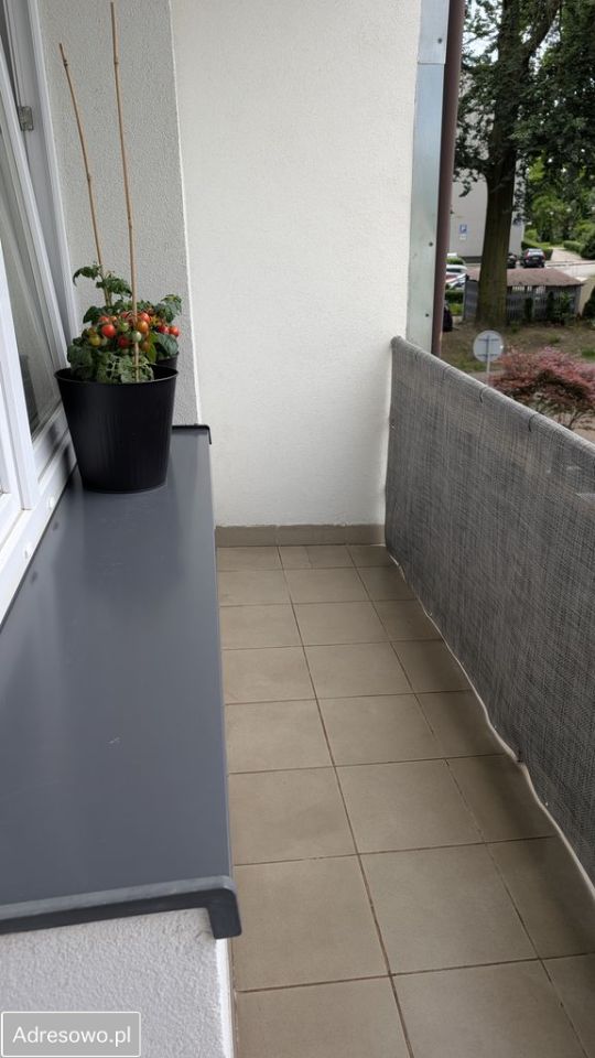 Mieszkanie 2-pokojowe Katowice Giszowiec, ul. Karliczka. Zdjęcie 10