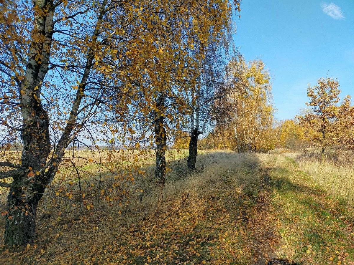 Działka rolna Chwiram. Zdjęcie 11