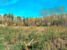 Działka siedliskowa Zabłudów, ul. Kolonia. Zdjęcie 3