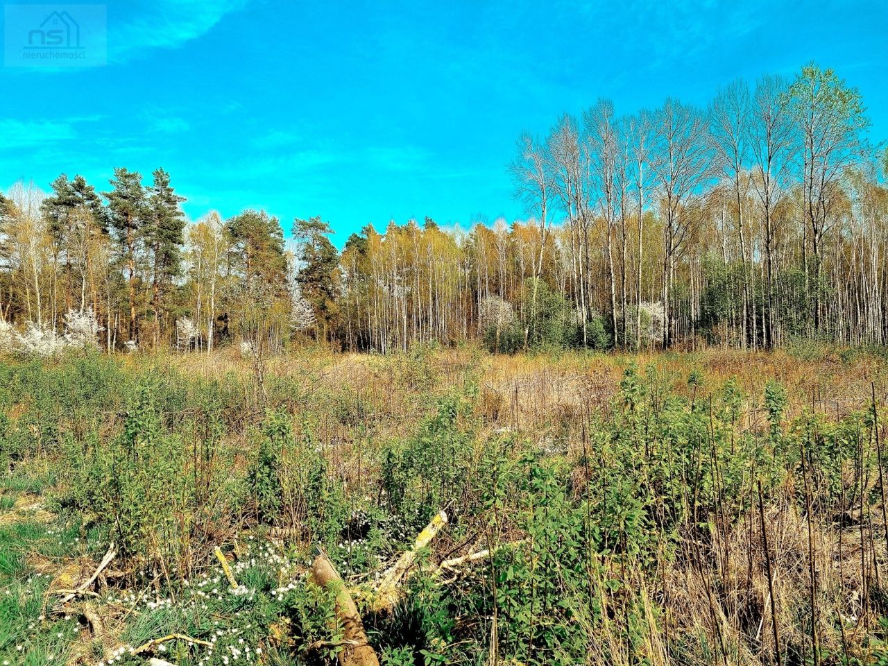 Działka siedliskowa Zabłudów, ul. Kolonia. Zdjęcie 4