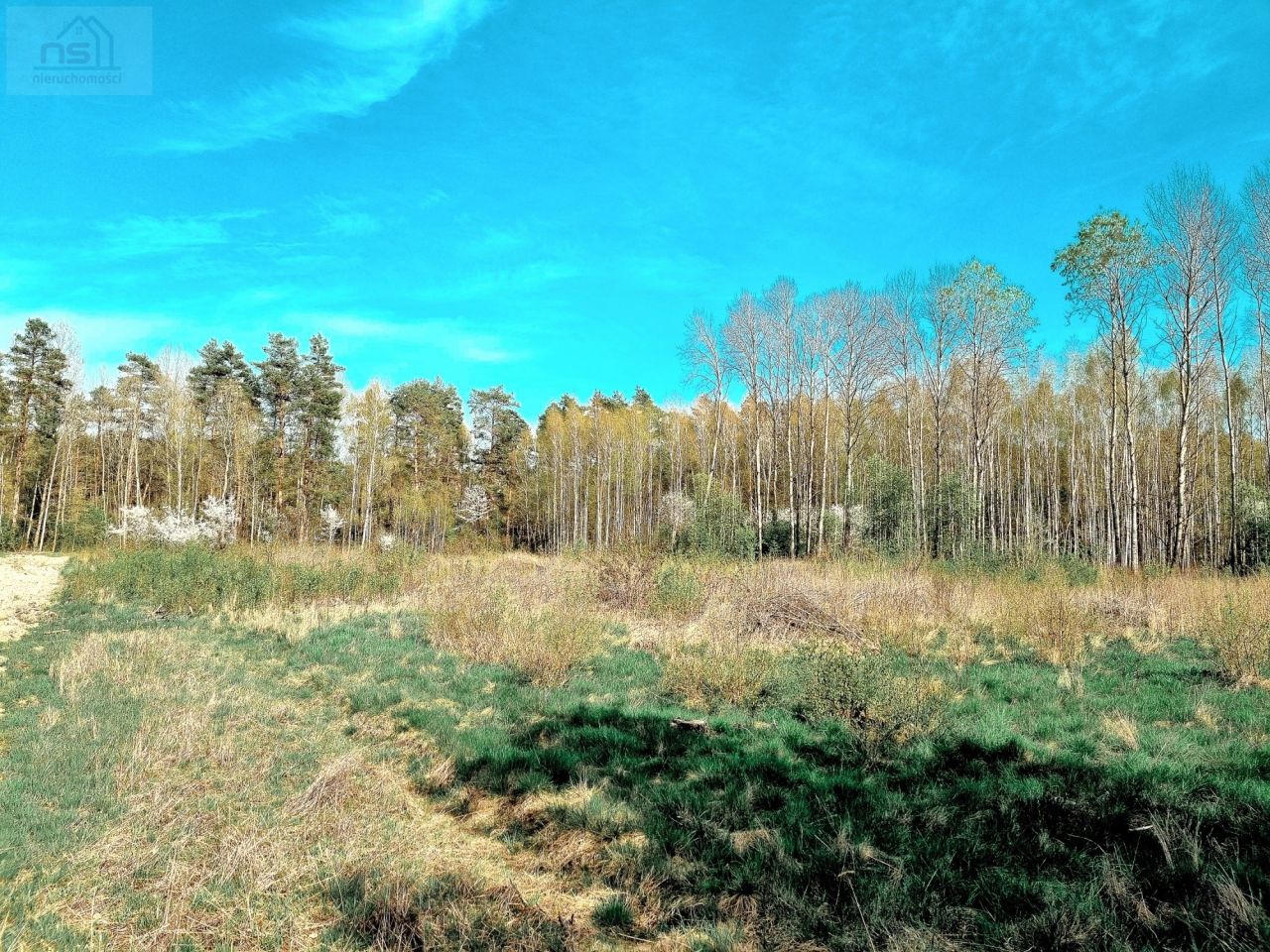 Działka siedliskowa Zabłudów, ul. Kolonia. Zdjęcie 5