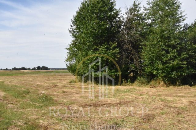 Działka siedliskowa Siedliska. Zdjęcie 7