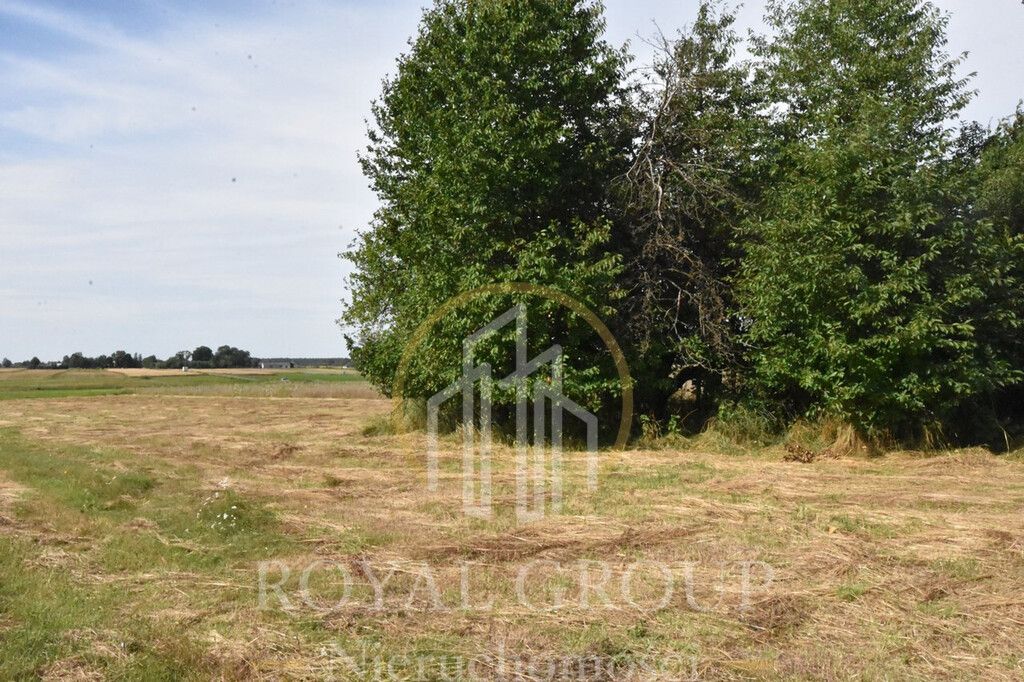 Działka siedliskowa Siedliska. Zdjęcie 7