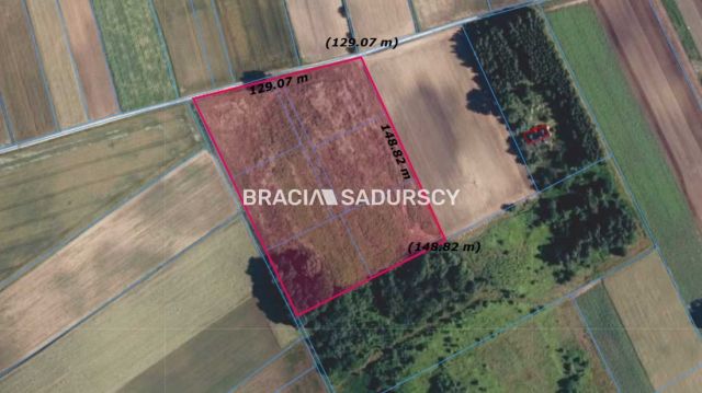 Działka rolna Rawałowice. Zdjęcie 4