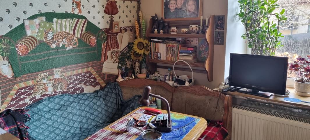 dom wolnostojący, 3 pokoje Pruszków Bąki. Zdjęcie 1