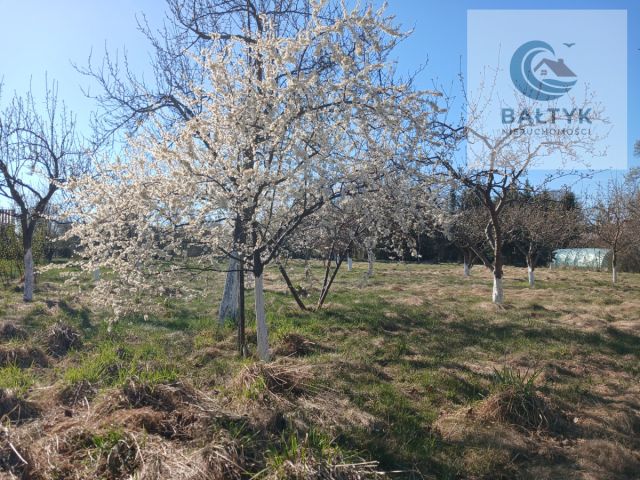 dom wolnostojący, 7 pokoi Żelkowo. Zdjęcie 5