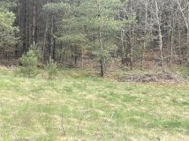 Działka budowlana Studzienice. Zdjęcie 2