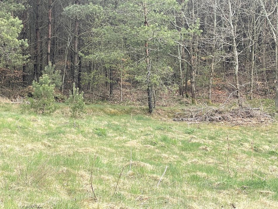 Działka budowlana Studzienice. Zdjęcie 3