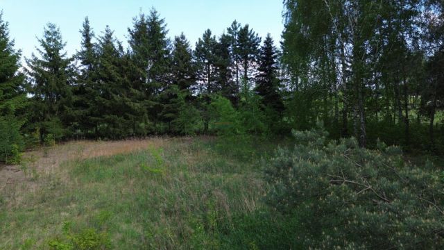 Działka budowlana Wągrodno. Zdjęcie 5