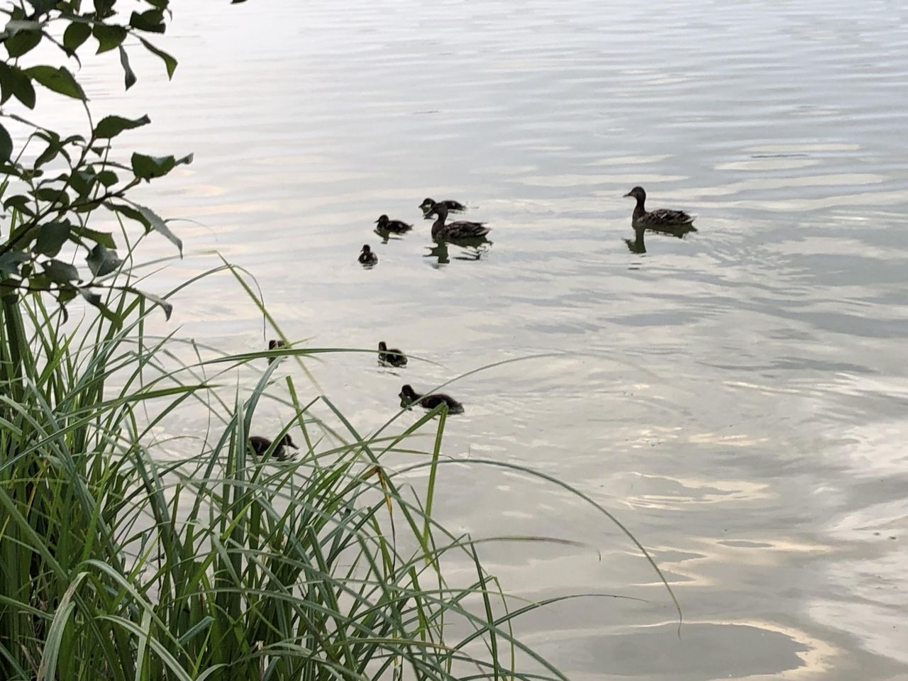 Działka budowlana Cekcyn, ul. Cicha. Zdjęcie 4