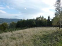 Działka rolna Pewel Wielka Garleje. Zdjęcie 2