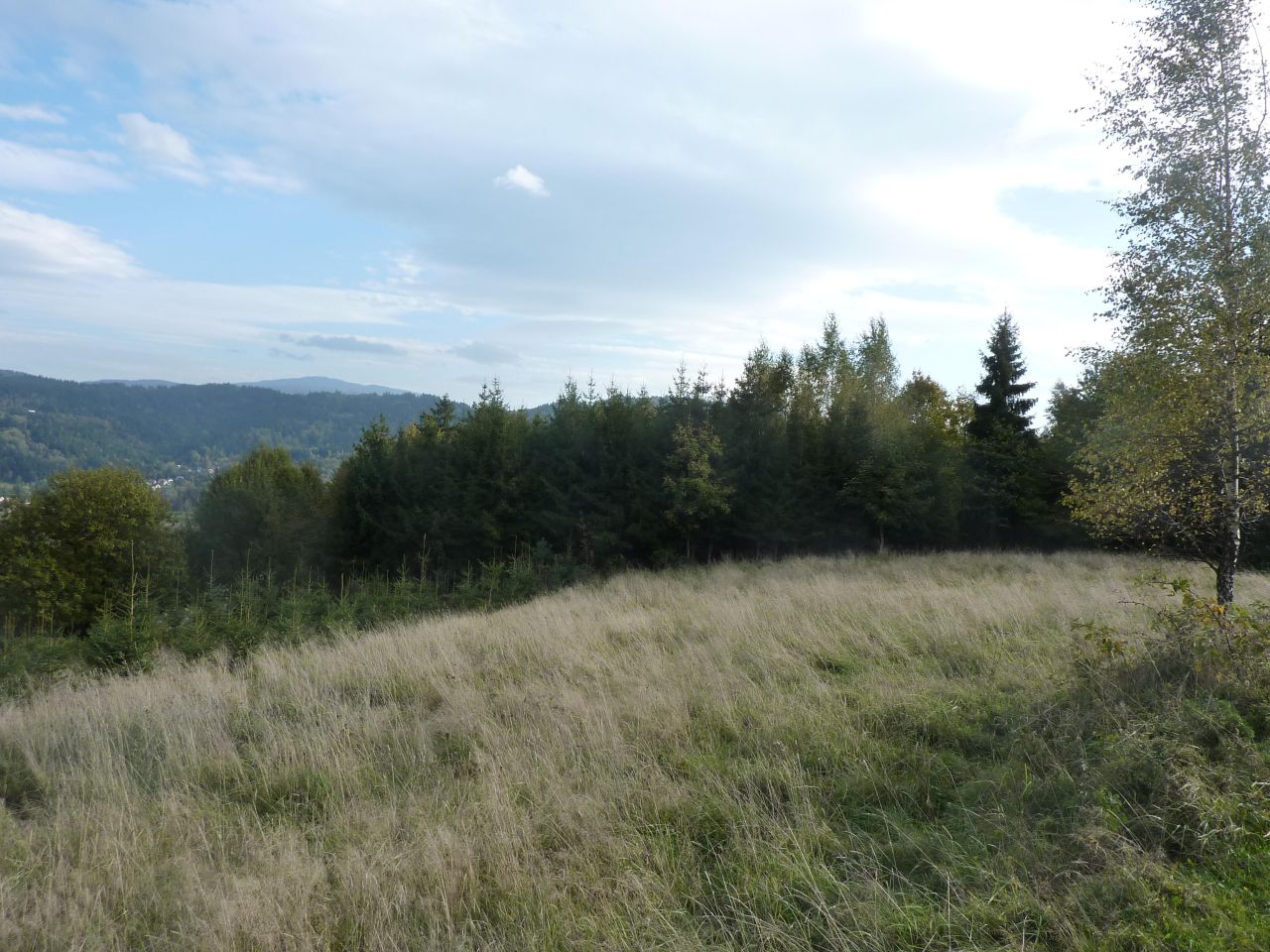 Działka rolna Pewel Wielka Garleje. Zdjęcie 3