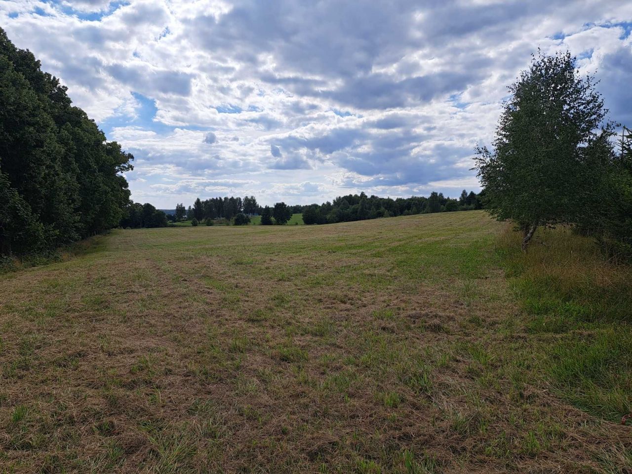 Działka rolna Silnowo