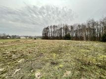 Działka rolno-budowlana Kuczki-Kolonia Kuczki-Pólko. Zdjęcie 2