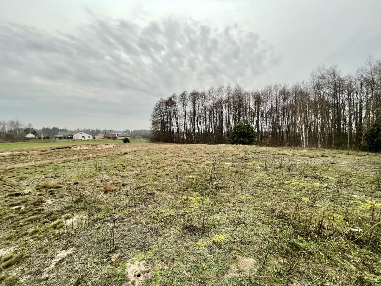 Działka rolno-budowlana Kuczki-Kolonia Kuczki-Pólko. Zdjęcie 3