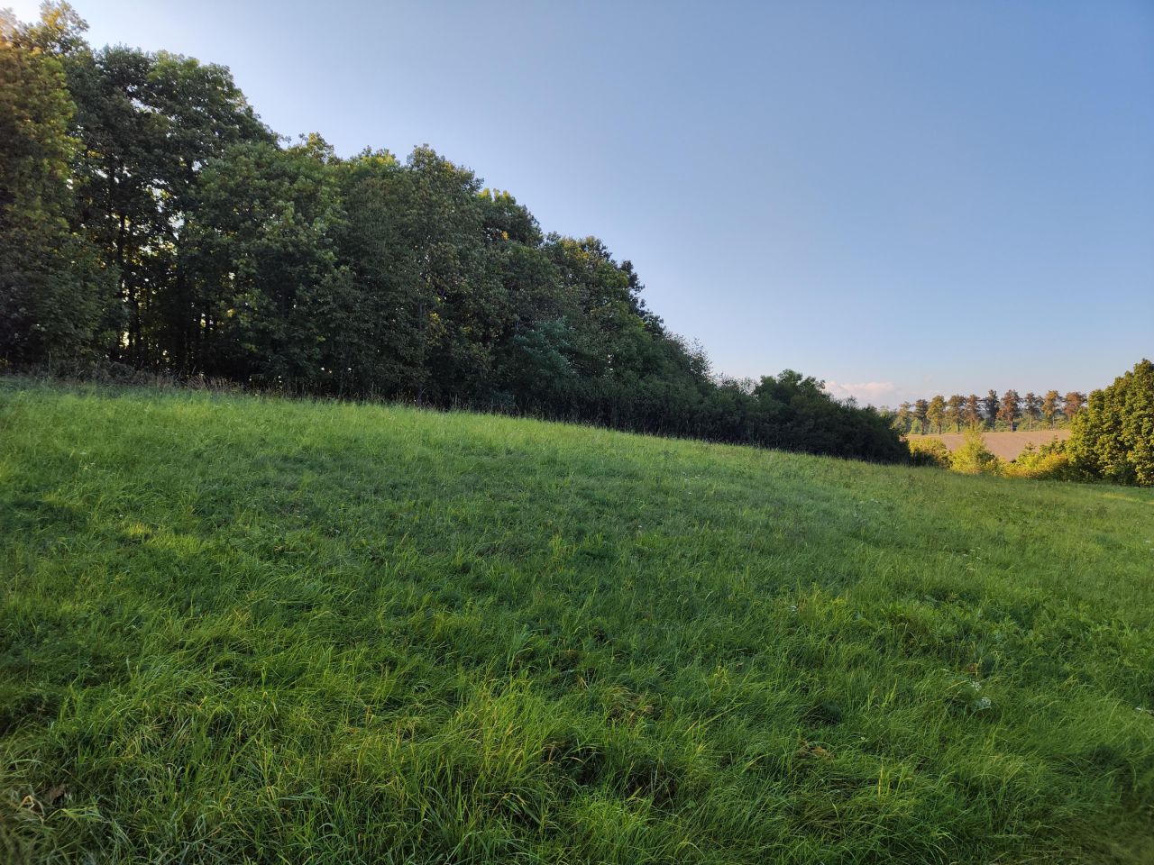 Działka budowlana Myślinów. Zdjęcie 2