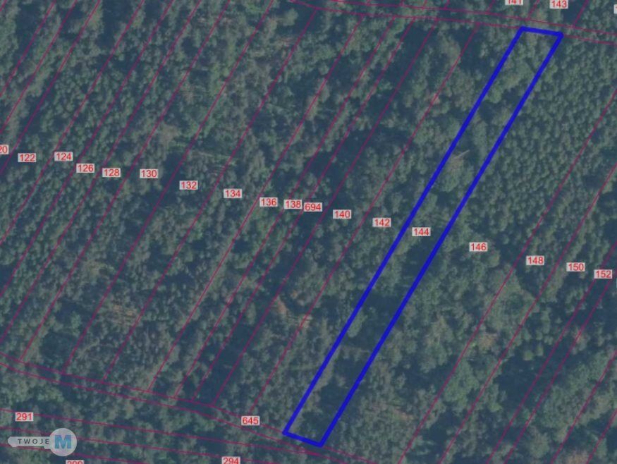 Działka leśna Osiny. Zdjęcie 2