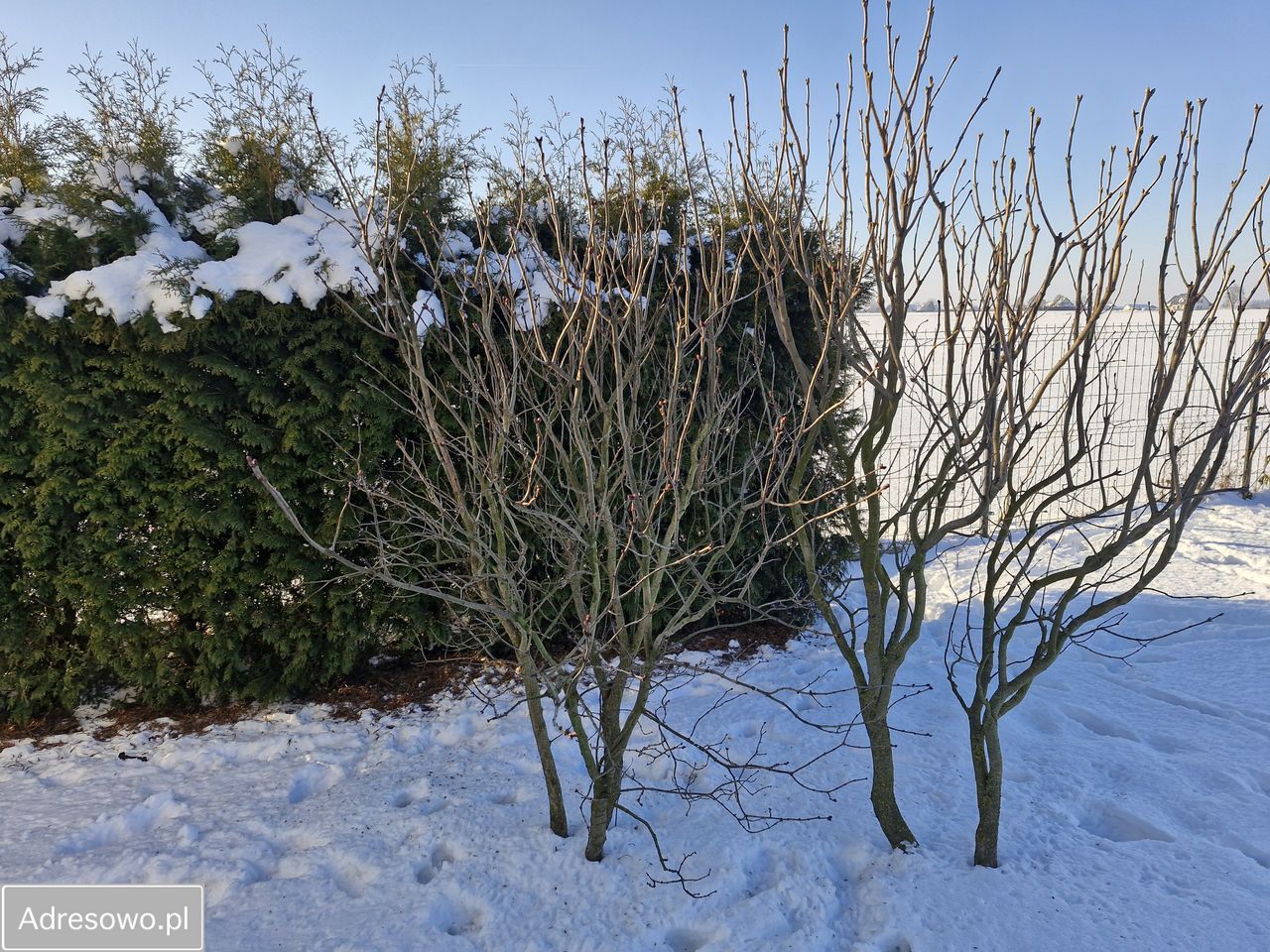 dom wolnostojący, 5 pokoi Piotrowice-Kolonia. Zdjęcie 13