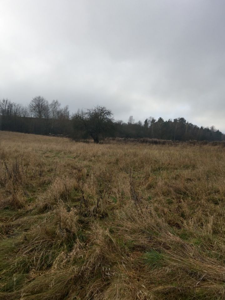 Działka rolno-budowlana Kostomłoty Pierwsze Stara Wieś, ul. Starowiejska. Zdjęcie 6