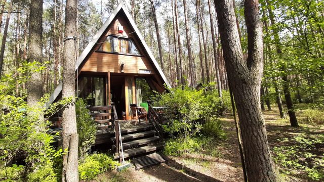 Działka rekreacyjna Wola Polska. Zdjęcie 1