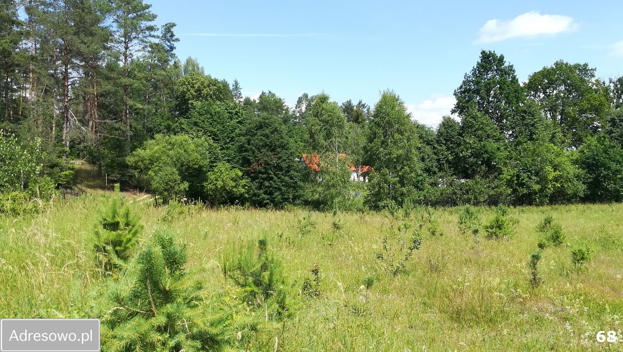 Działka budowlana Kaborno. Zdjęcie 15