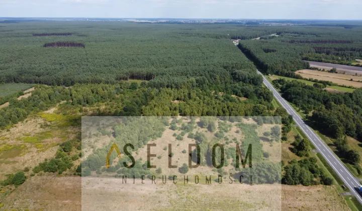 Działka inwestycyjna Grodziec