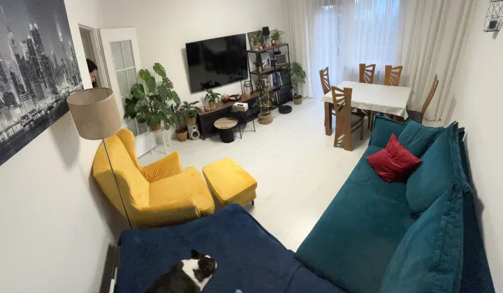 Mieszkanie 3-pokojowe Szamotuły, ul. Sportowa