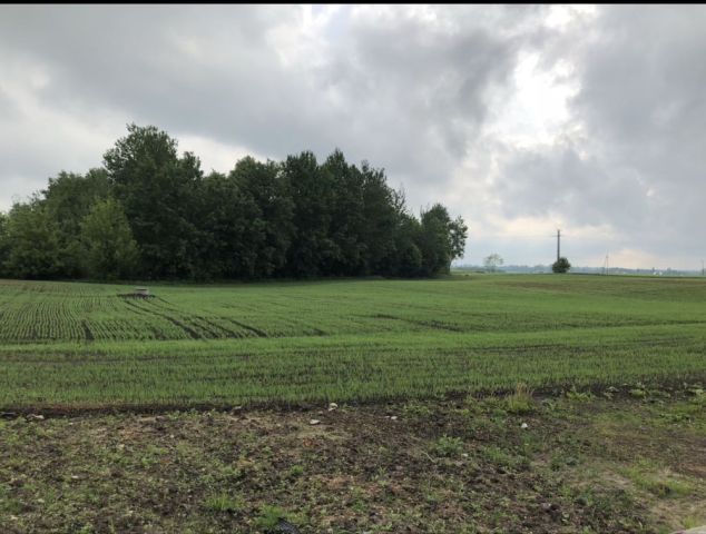 Działka budowlana Sedranki. Zdjęcie 1