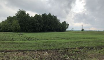 Działka budowlana Sedranki