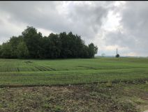 Działka budowlana Sedranki