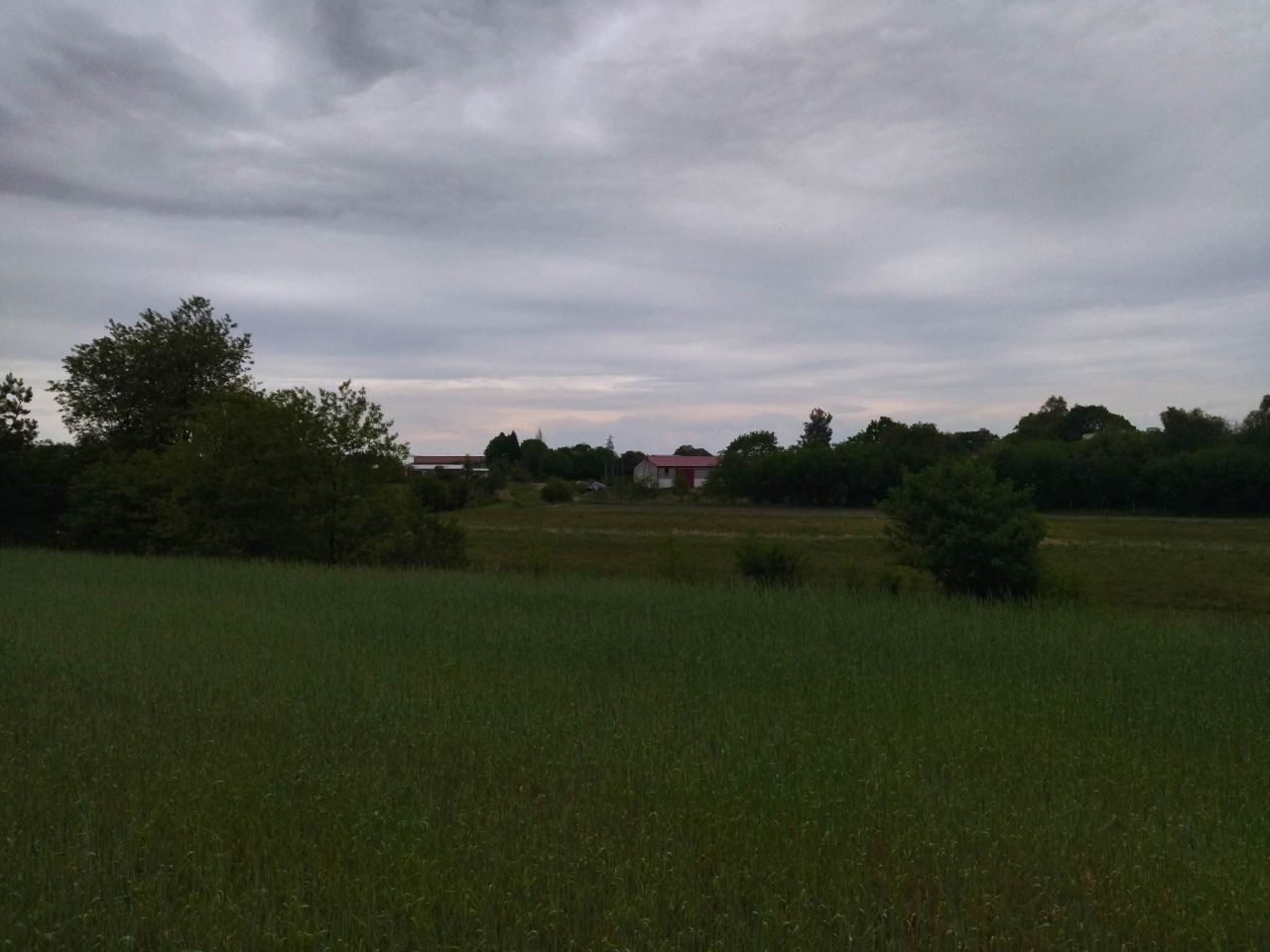 Działka budowlana Świerczyna. Zdjęcie 10