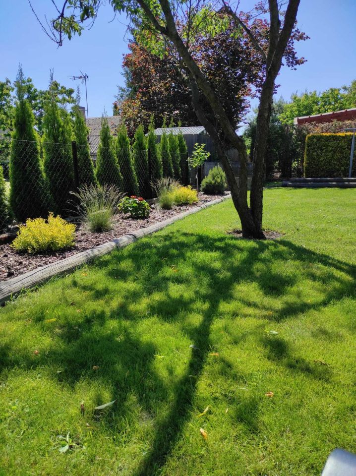 Działka rekreacyjna Kalina. Zdjęcie 2