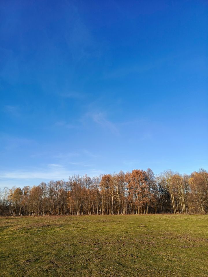 Ośrodek wczasowy Olszynki. Zdjęcie 5