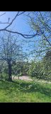 Działka rolno-budowlana Wysoka, Wysoka. Zdjęcie 2