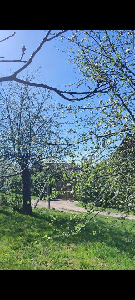 Działka rolno-budowlana Wysoka, Wysoka. Zdjęcie 3