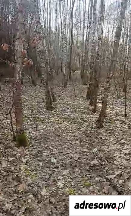 Działka Ostrów. Zdjęcie 3