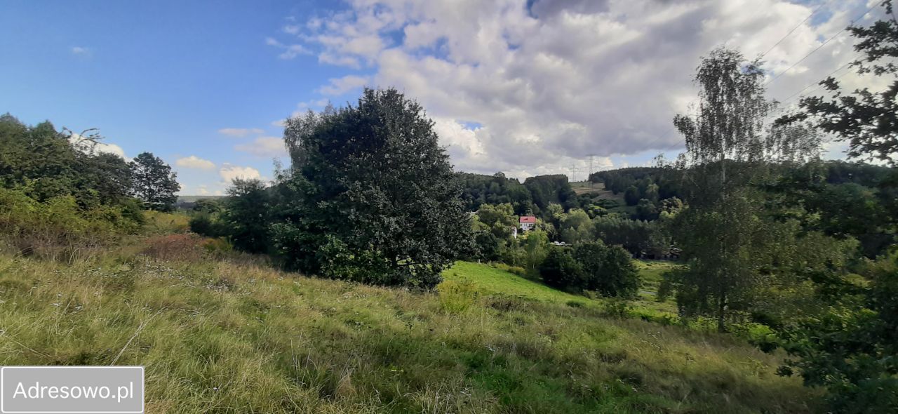 Działka budowlana Lwówek Śląski, ul. Jastrzębia. Zdjęcie 8