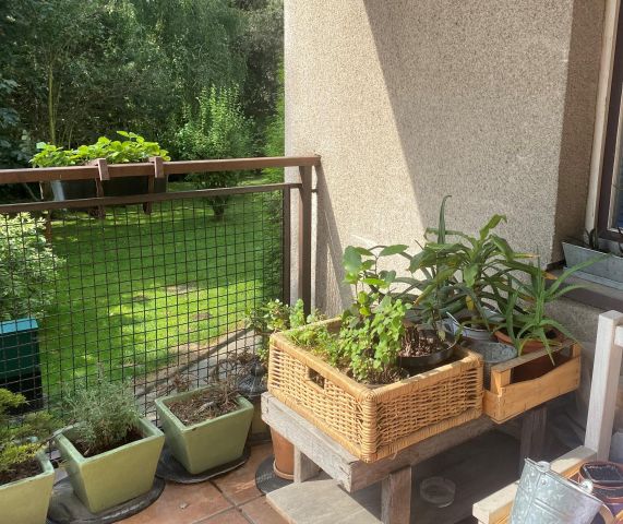 Mieszkanie 3-pokojowe Kraków Prądnik Czerwony, ul. Dobrego Pasterza. Zdjęcie 1