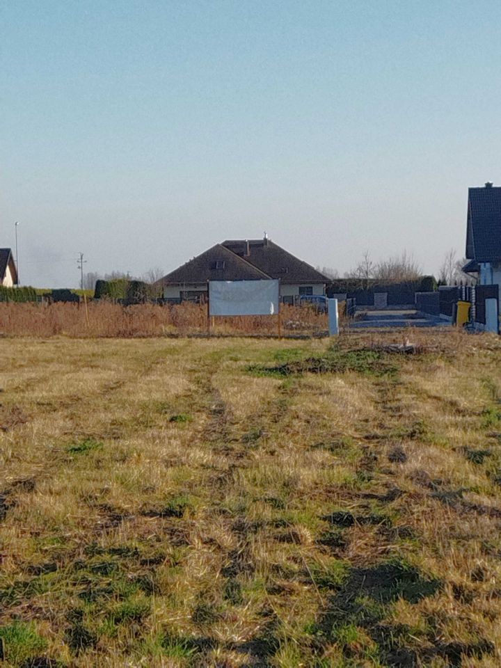 Działka budowlana Zofiówka. Zdjęcie 3