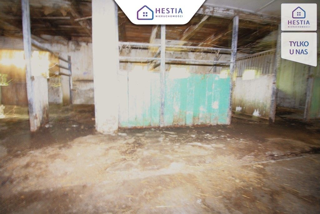 Hala/magazyn Kurcewo. Zdjęcie 9