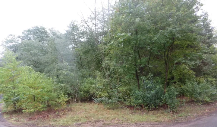 Działka budowlana Żółwin, ul. Porannej Zorzy