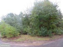 Działka budowlana Żółwin, ul. Porannej Zorzy