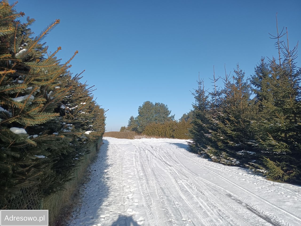 Mieszkanie 3-pokojowe Wyczechy. Zdjęcie 13